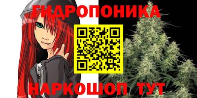 a pvp Новокубанск