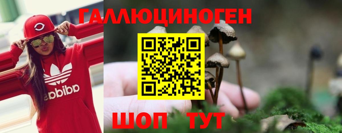 Галлюциногенные грибы Magic Shrooms Всеволожск